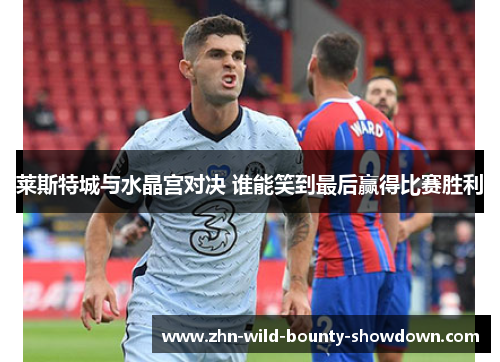莱斯特城与水晶宫对决 谁能笑到最后赢得比赛胜利
